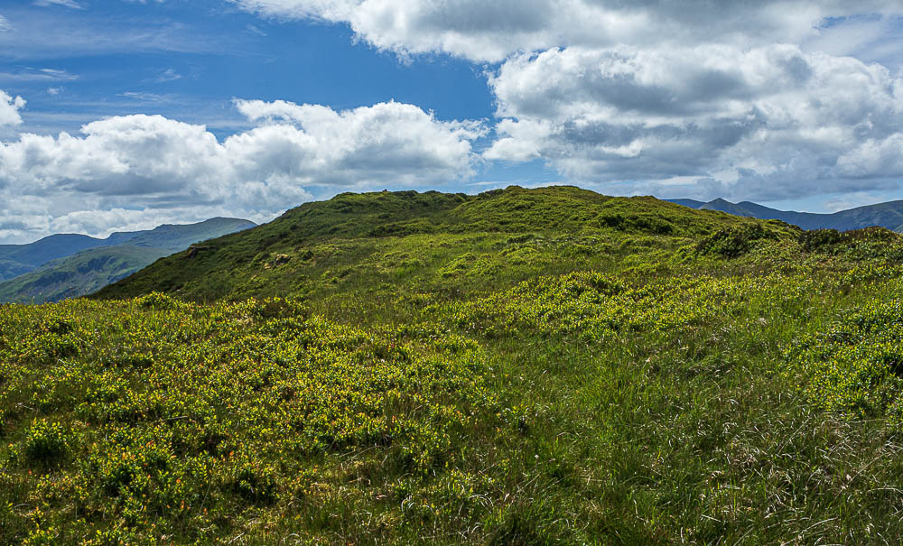 Bleaberry Knott Bleaberry Knott